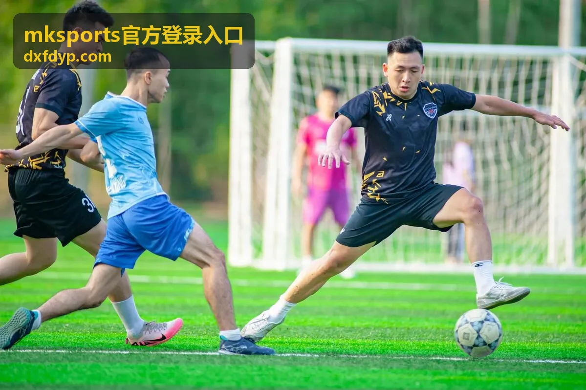 mksports官方登录入口 多设备打开示意